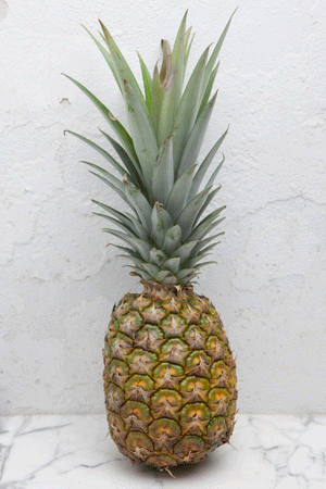 Ananas (schaars) Ananas (schaars)